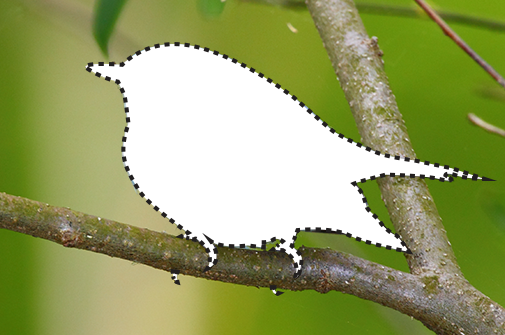 An outline of a Cerulean Warbler.