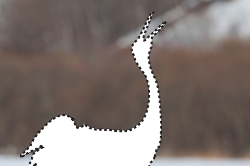An outline of a Red-crowned Crane.